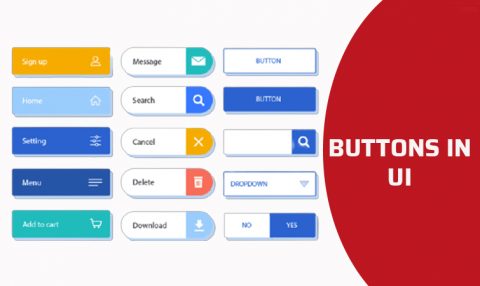 What are the Different Types of Buttons in UI? Havro IT Solutions, Chennai